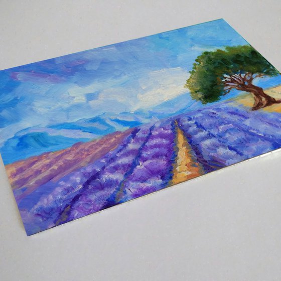 Lavender Field painting