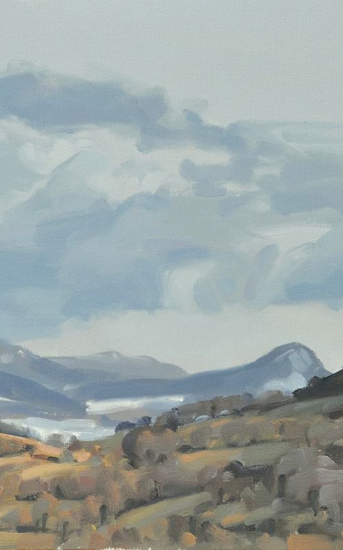 January 30, Roches de Mariol, grey sky by ANNE BAUDEQUIN