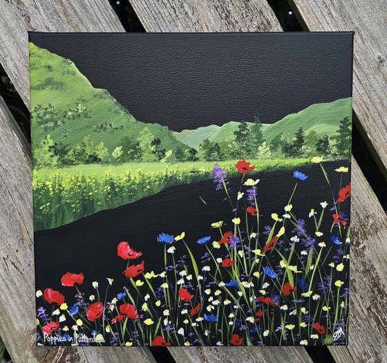 Poppies in Patterdale