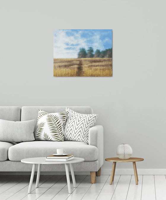 Meadow In Late Summer 3