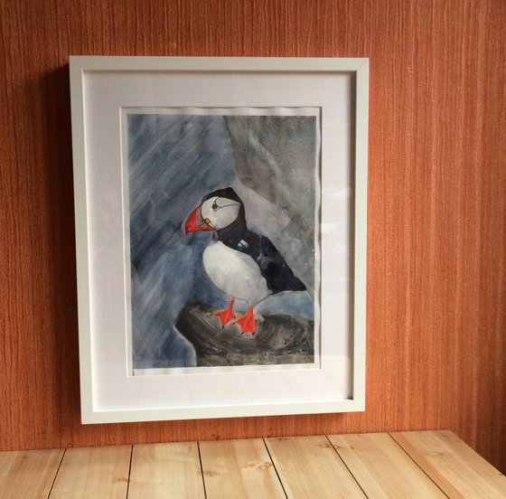 Bird portrait of a puffin  - Gift idea for bird lover