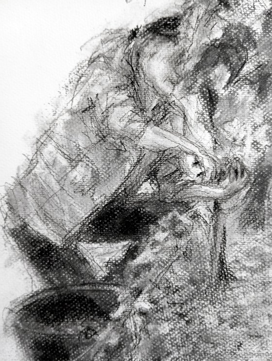 Vendanges 5