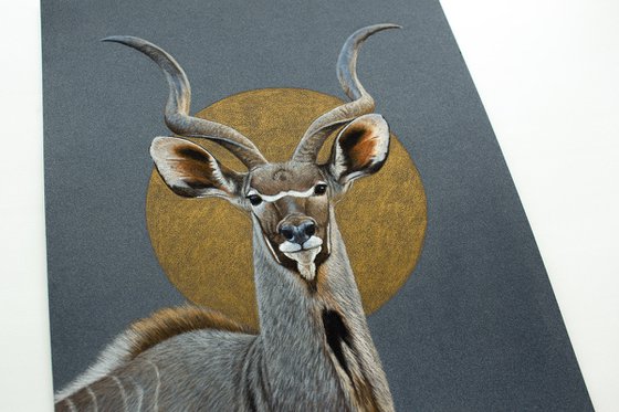Original pastel drawing "Greater kudu"