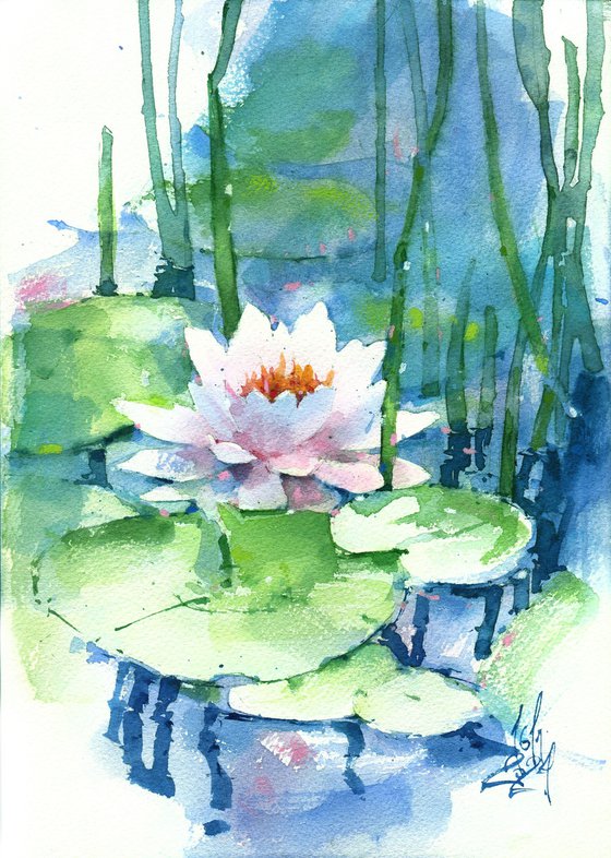 Water Lily Serenity