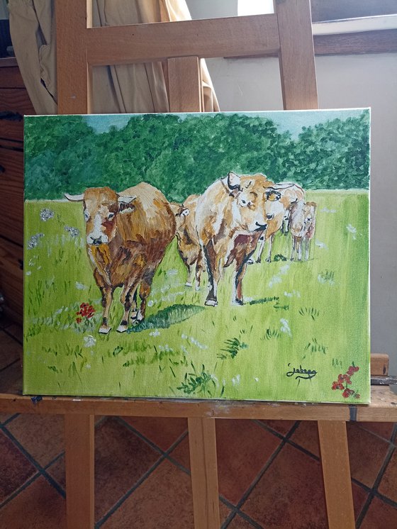 Cows 1