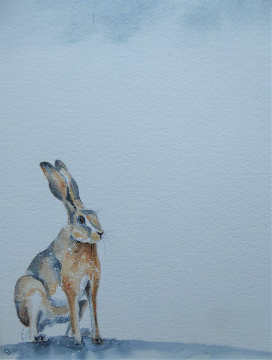 Hare In A Snow Storm