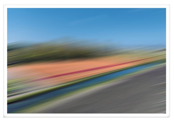 COLOURED FIELDS