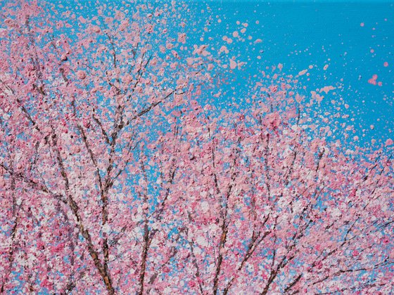 Cherry blossom dances in the blue, blue sky | 76cm x 76cm