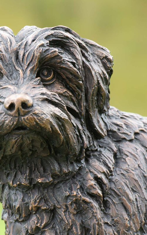 Norfolk Terrier Foundry Bronze by Tanya Russell