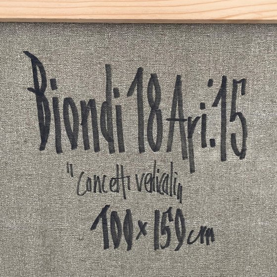 Vertical Concepts - Silent Fracture