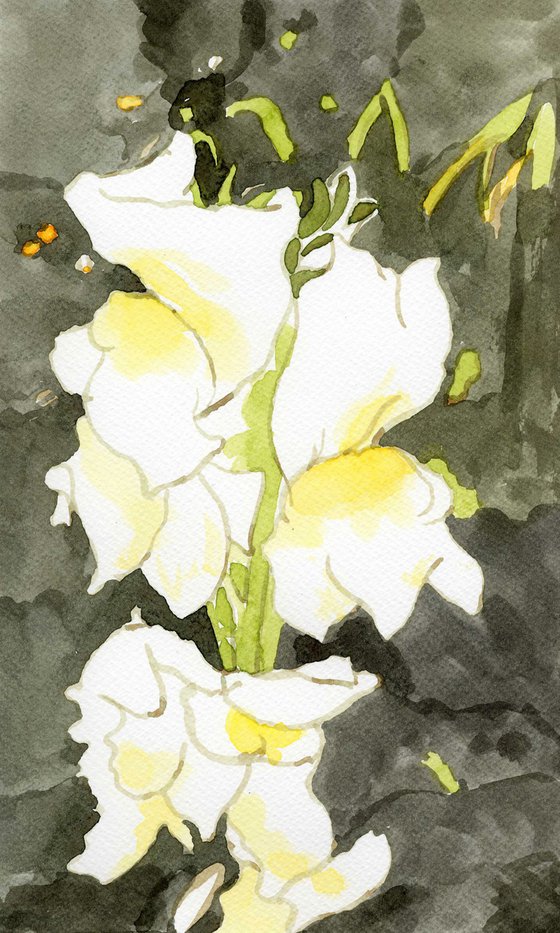 WHITE FLOWERS III