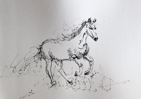 Horse