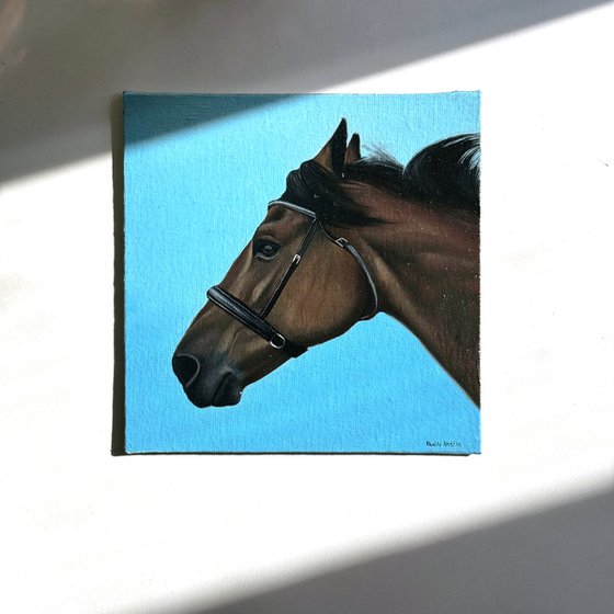 Horse Portrait 4