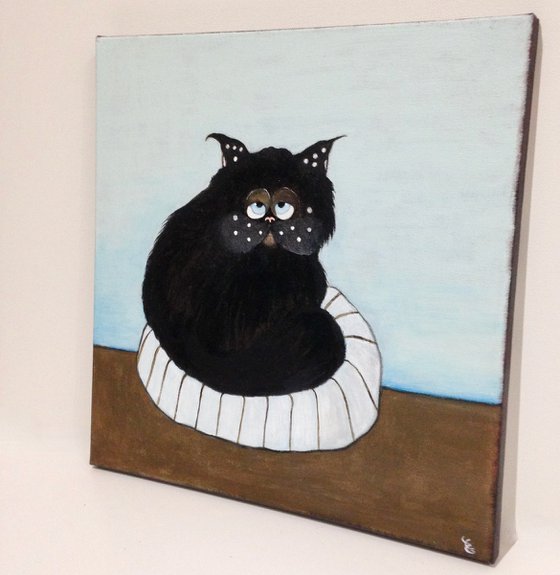 Black cat with cushion