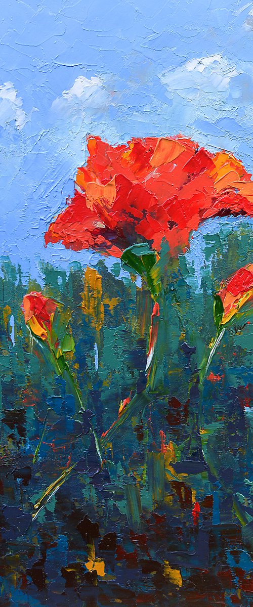 Red poppy flowers in field. Original gift for love by Marinko Šaric