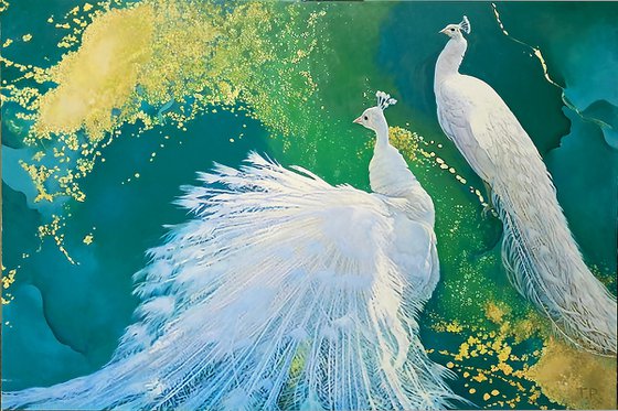 WHITE PEACOCKS
