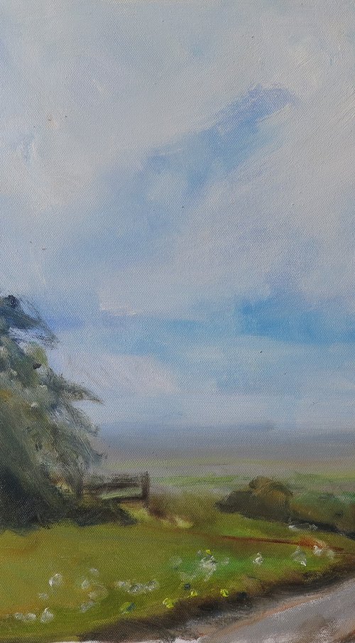 Above Kirby Underdale by Malcolm Ludvigsen