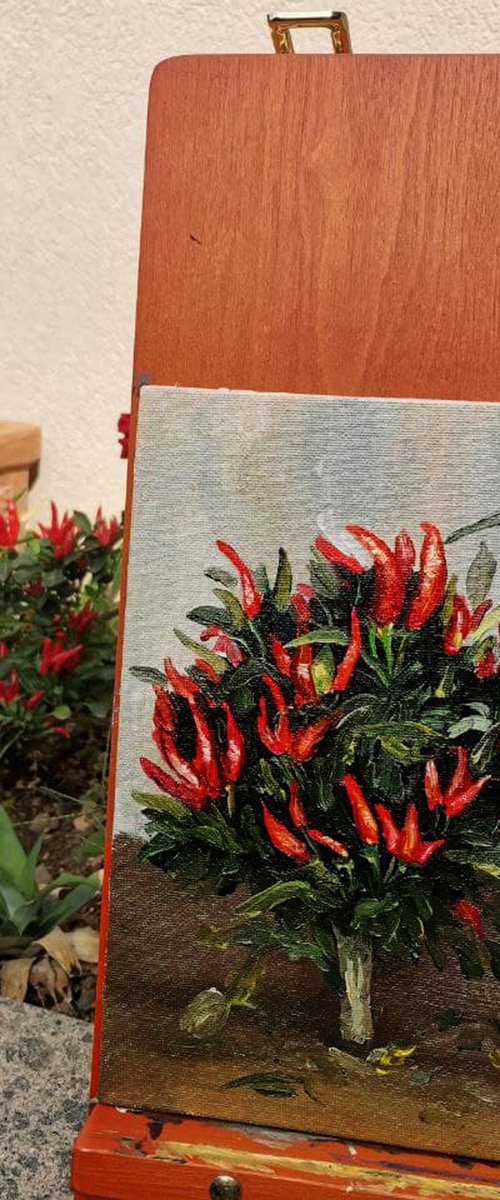 Chilli peppers. 18x24 cm. Plein-air. Peperoncini. by Oksana Evteeva