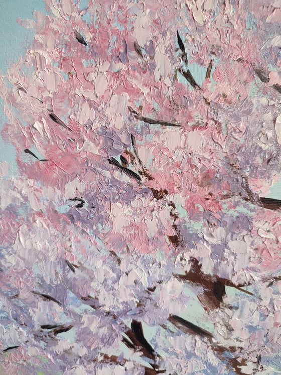 Sakura is blooming