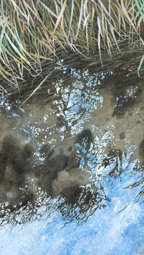 Water Reflection and Waterlines by Masato Watanabe
