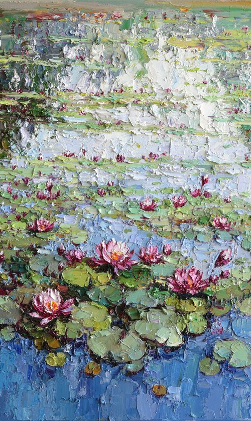 Pink Water Lilies by Anastasiia Valiulina