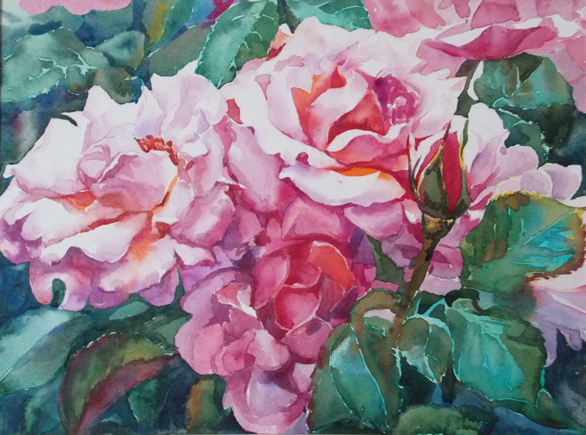 Impressionistic Watercolour , Roses By Yurii Pashkov, 17 X 12, Artwork For Sale On Artfinder