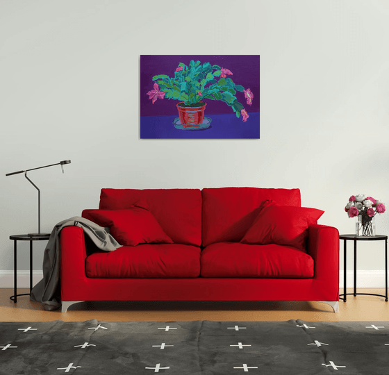 Holiday cactus