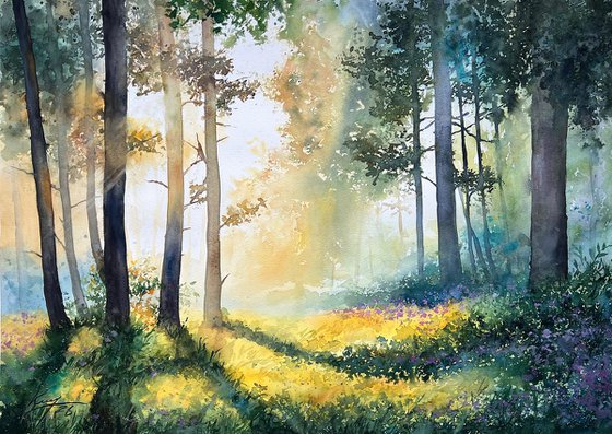 Misty Morning Forest