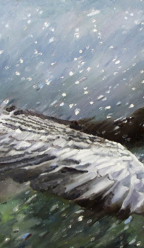 Traveler by Anatolii Varvarov