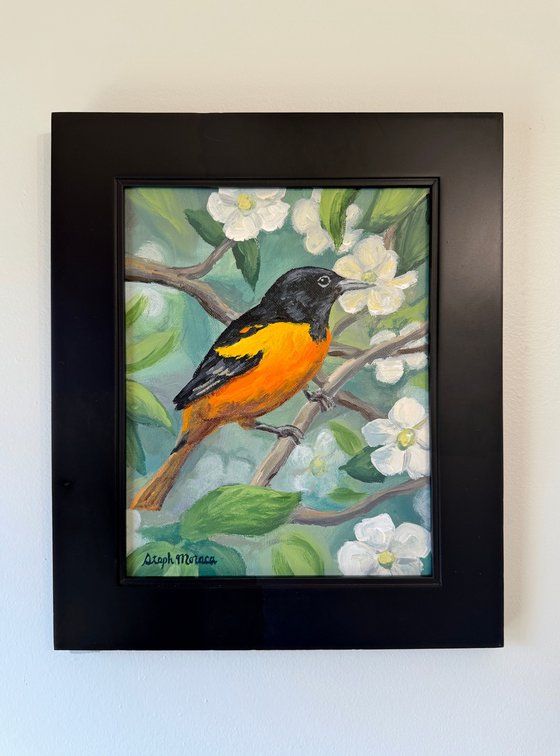 Oriole with White Flowers