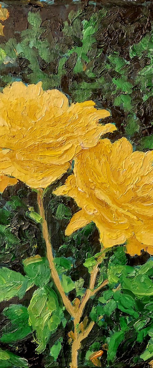 two yellow roses by Colin Ross Jack