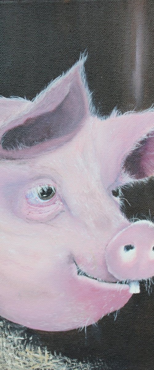 Stinky Pinky Porker by Deborah Jayne Palmer