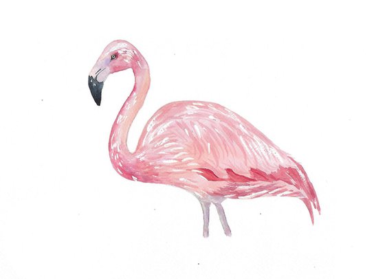 Flamingo, Nursery art, wildlife animal art