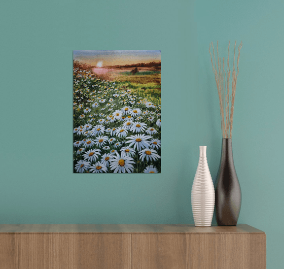 Chamomile field