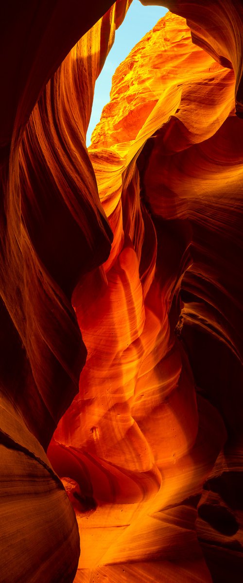 Crimson Flame by Nick Psomiadis