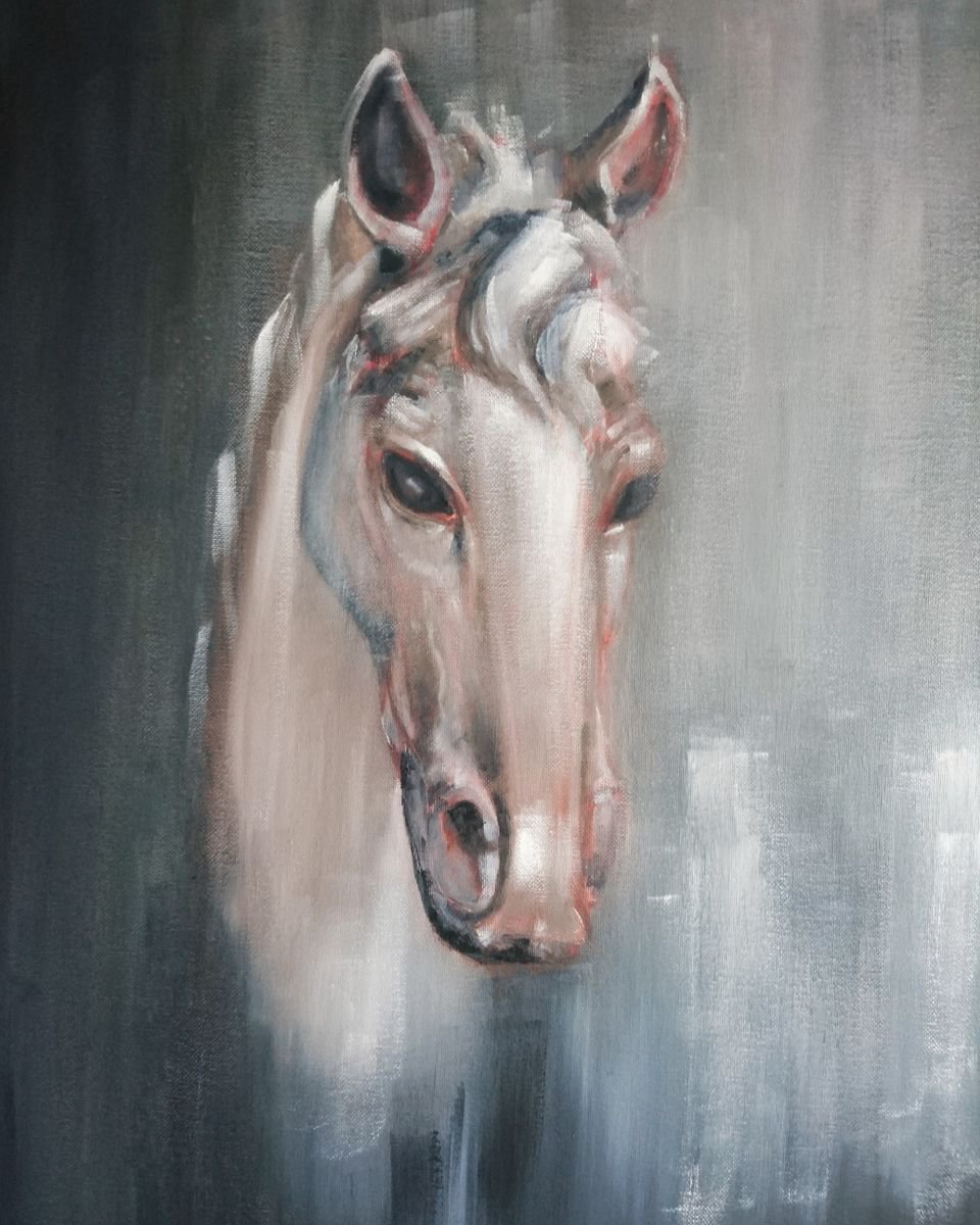 White horse by Katerina Kovalova