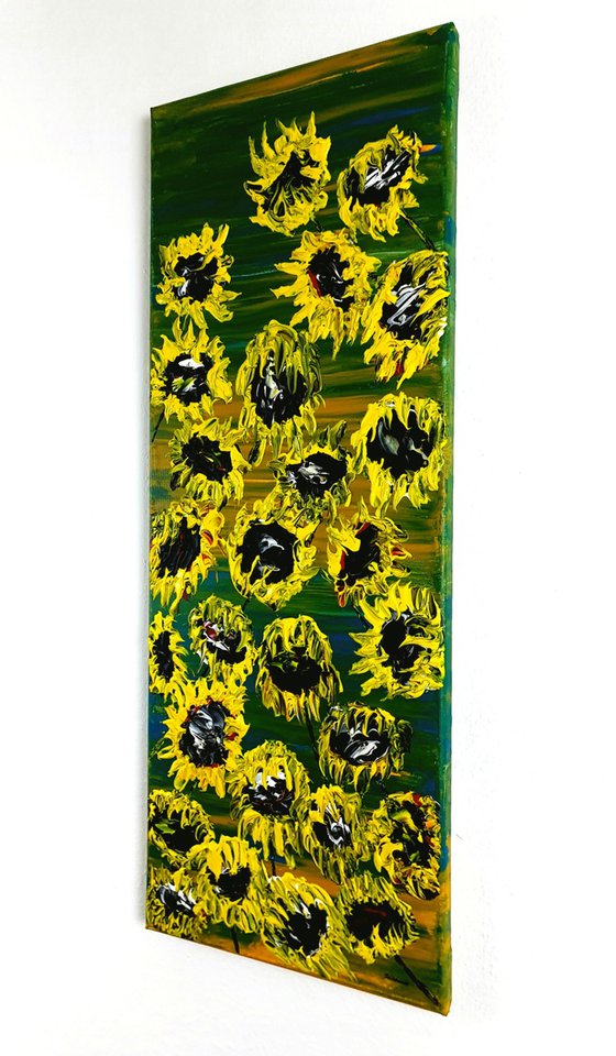 Blooming sunflowers 1