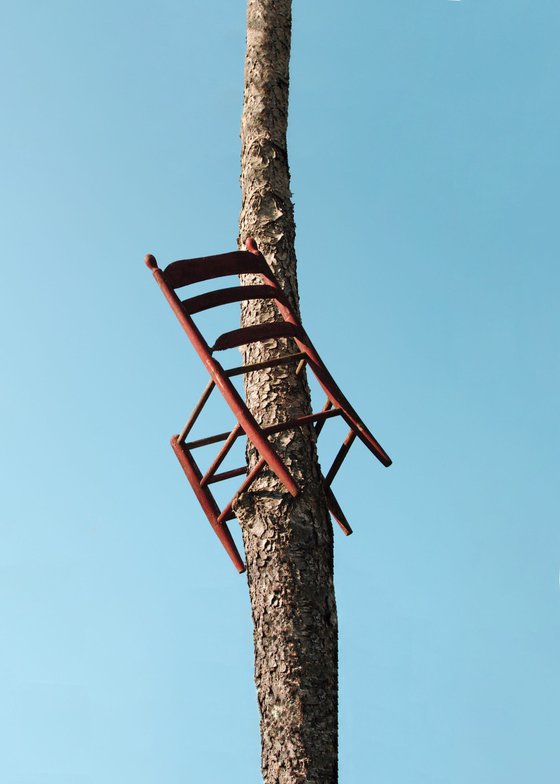 Chair in a tree