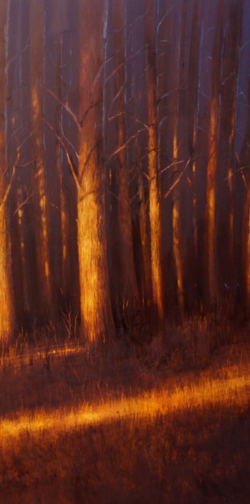 LAST LIGHTS by Rafael Carrascal