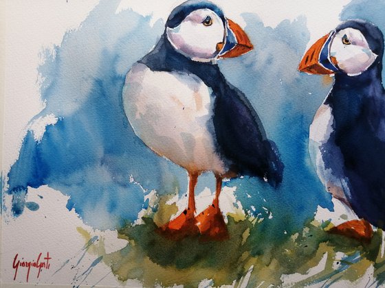 puffin 5