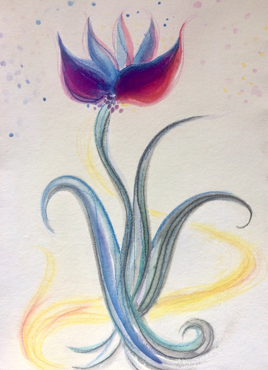 Magenta Tulip - Spring by Phyllis Mahon