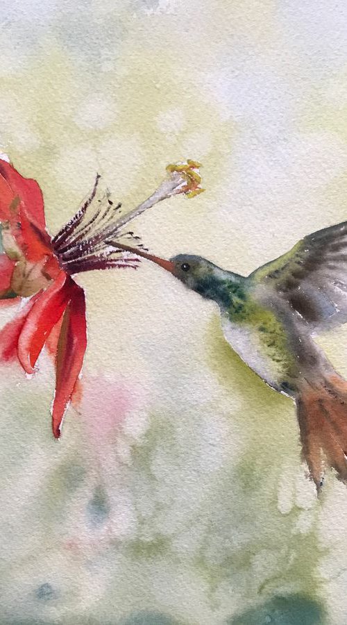 Hummingbird and flower (Little bird - 2) by Eugenia Gorbacheva