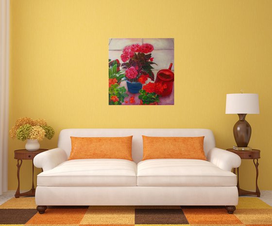 Geraniums and Begonias
