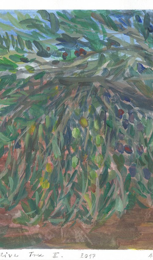 Olive Tree II, 2017 by Alenka Koderman