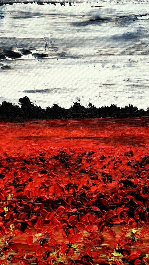 Poppies In The Storm 1 by Daniel Urbaník