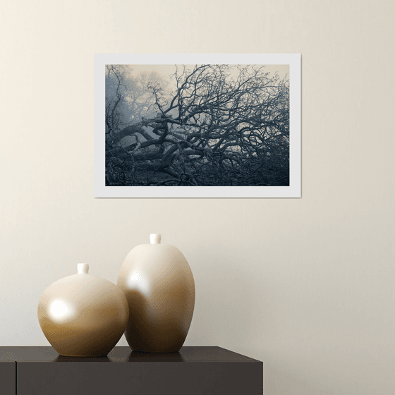 Wood Wave II