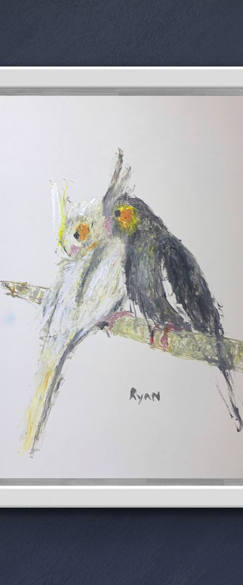 Cockatiels resting 9x12 Study by Ryan  Louder