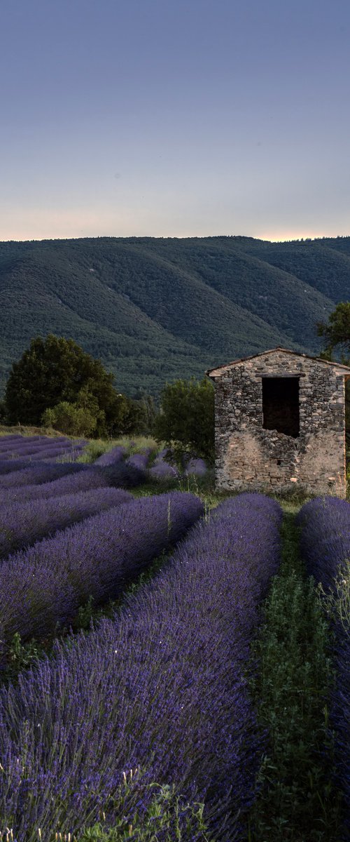 THE SUNSET OF PROVENCE by Fabio Accorrà