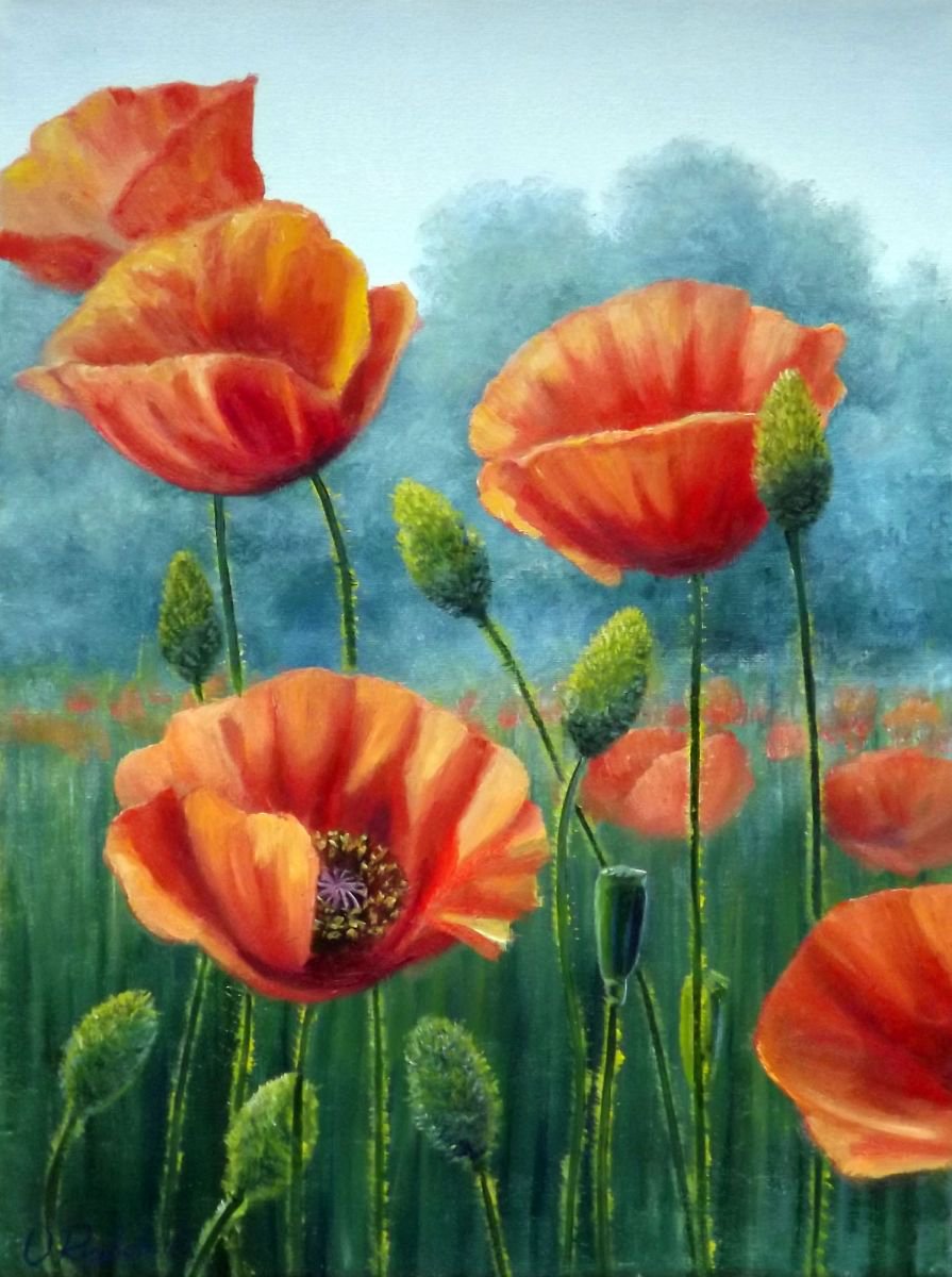 Poppy field картина