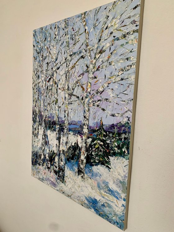 Birch trees in winter